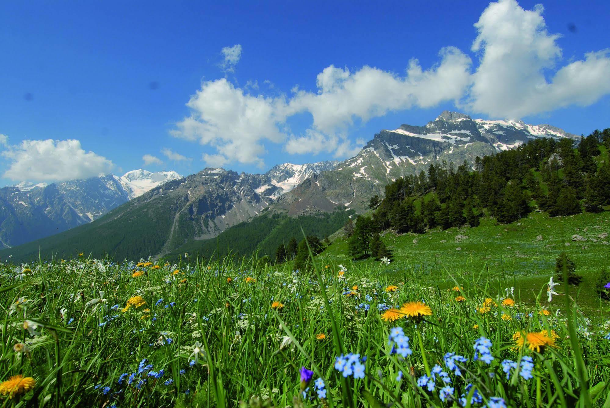 Club Vacances Bleues Les Alpes D'Azur La Salle-les-Alpes Exteriér fotografie